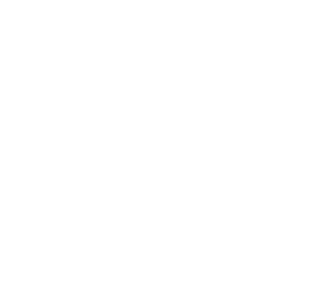 Business Bag